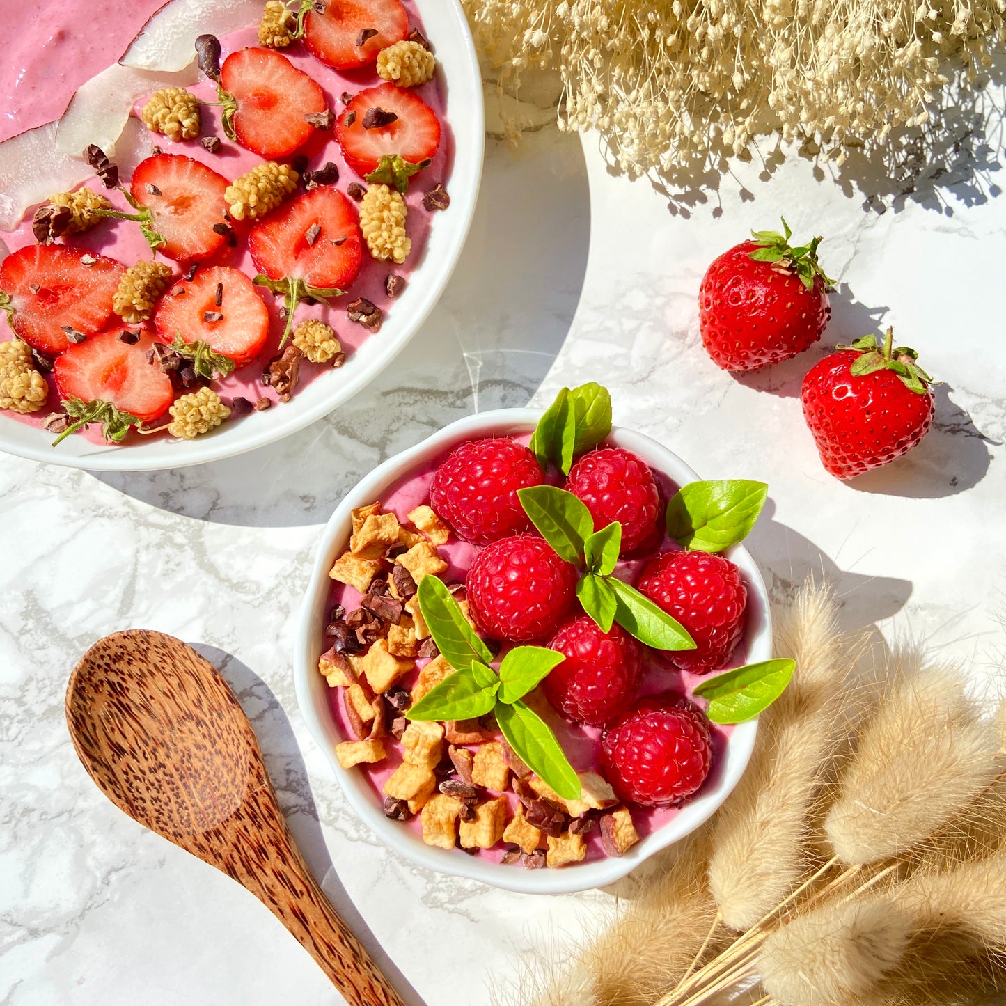 Fruchtpulver Erdbeeren Himbeeren Fruchtjoghurt 