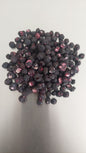 
                  
                    B-Ware Gefriergetrocknete Wildheidelbeeren 70g (Kurzes MHD).
                  
                