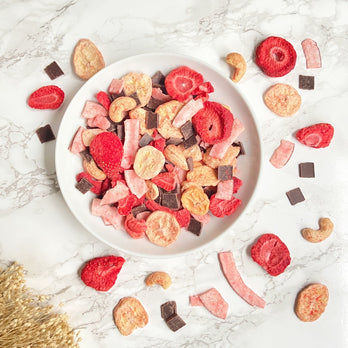 Bio Fruits ‘n Nuts Choco Date Zartbitter