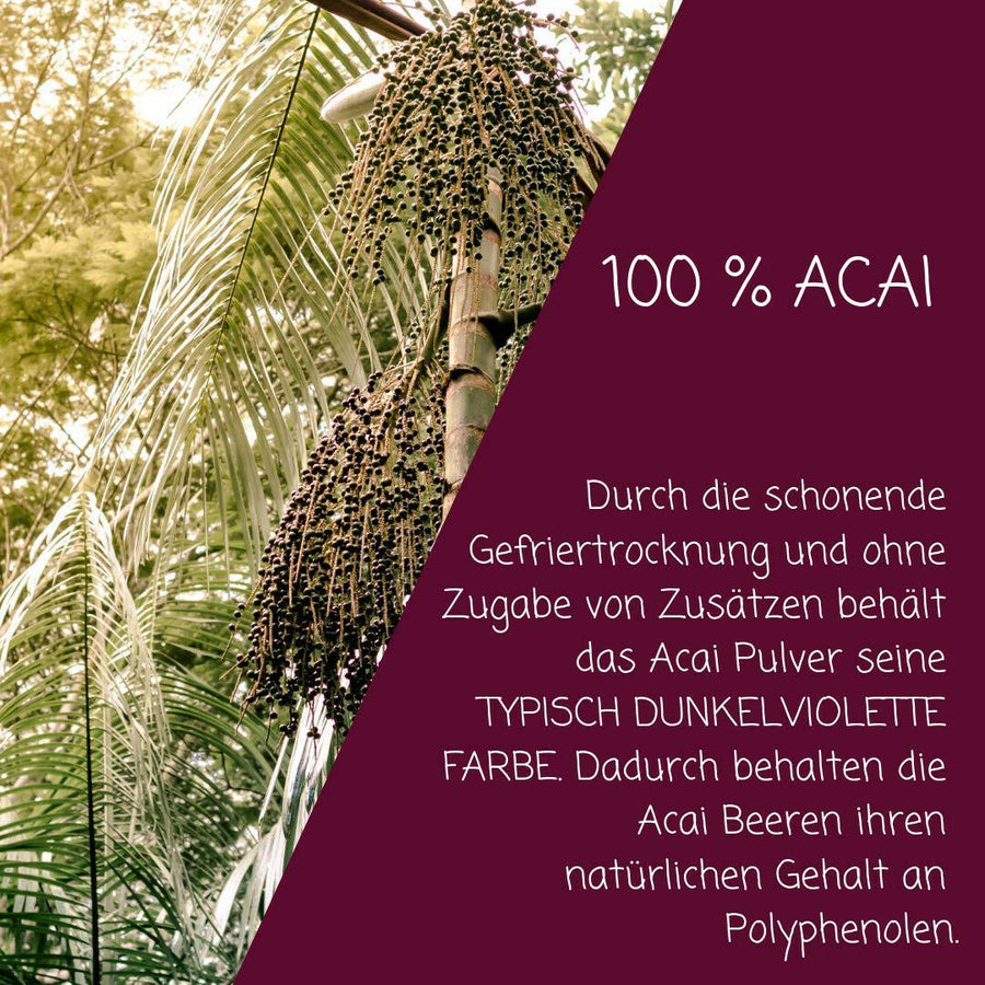 Açai Bio Fruchtpulver.